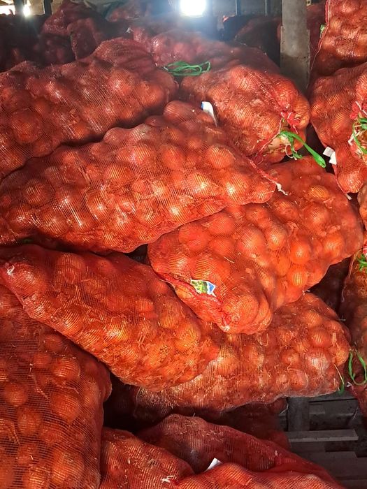 Лук продается мешками