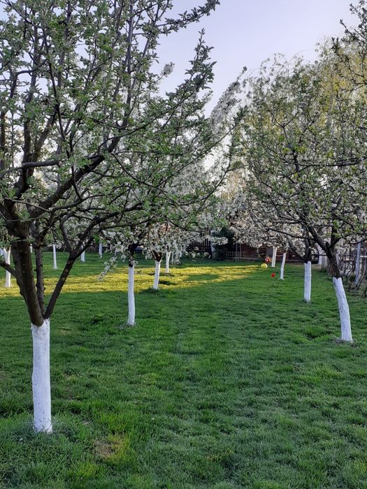 Proprietar vand casa + teren generos in Sabiesti (Racari, Dambovita)