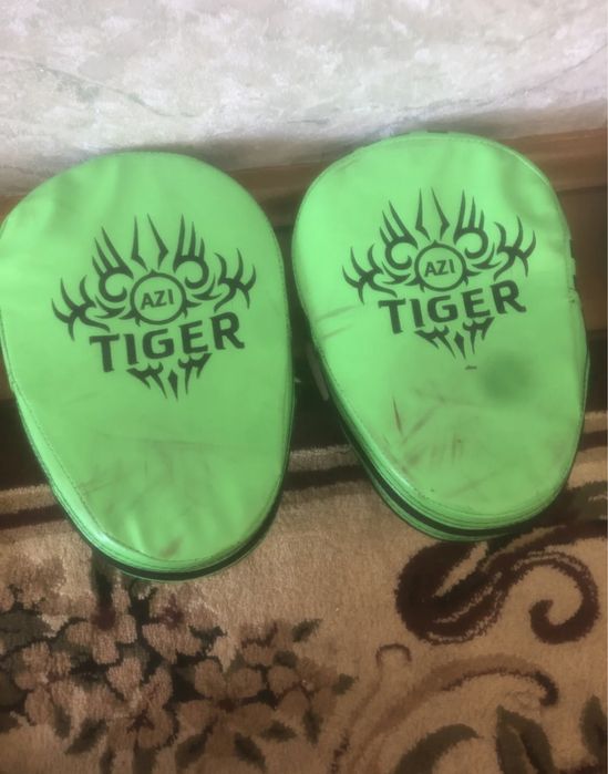 Lapa tiger dhshdd