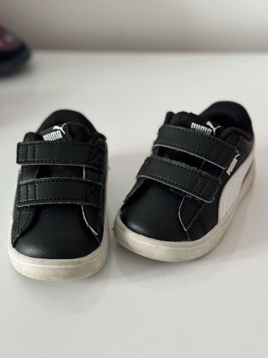 Коцове пума.    .