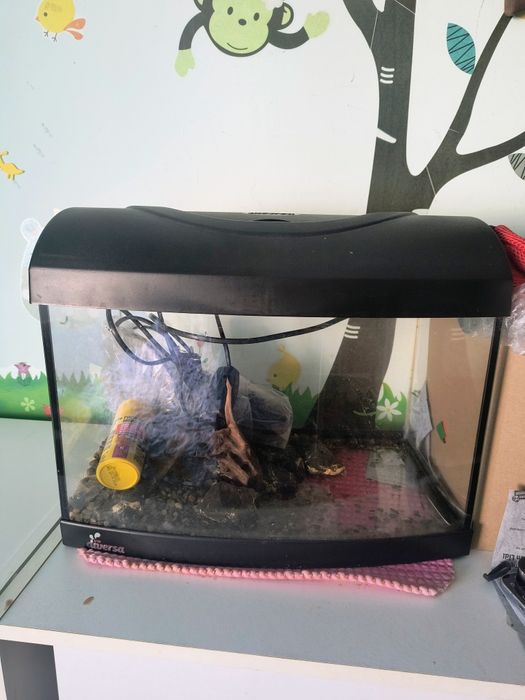 Acvariu Diversa 54 litri