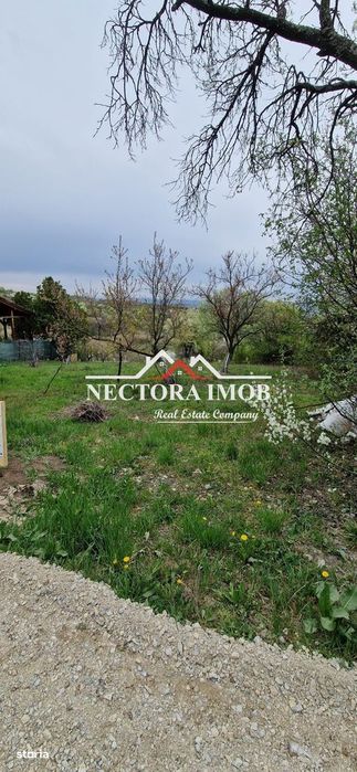 NECTORA IMOB-Teren Zona Podgoria,3400 mp (Intravilan + Extravilan)