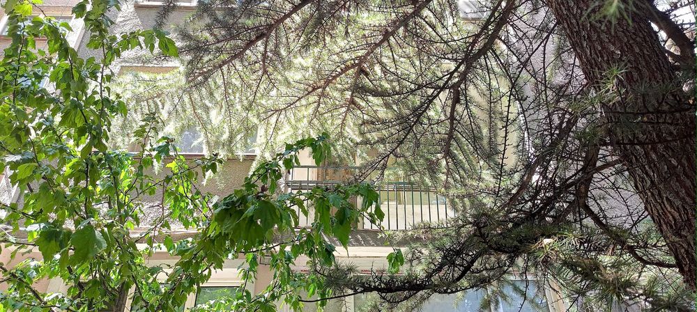 Продава се Четиристаен апартамент в Стара Загора, МБАЛ Иван Рилски - 70 кв.м за 1358 €/кв.м - Снимка #12