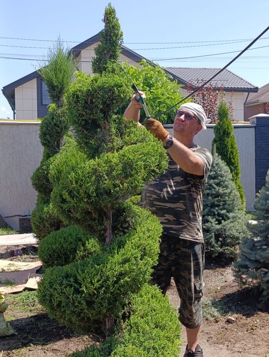 Услуги Садовника Алматы