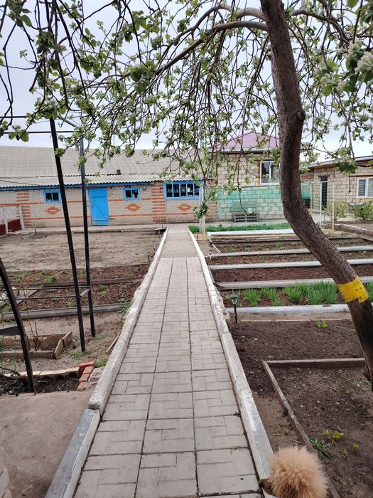 Продам дом в Юбилейном (Рудненский)