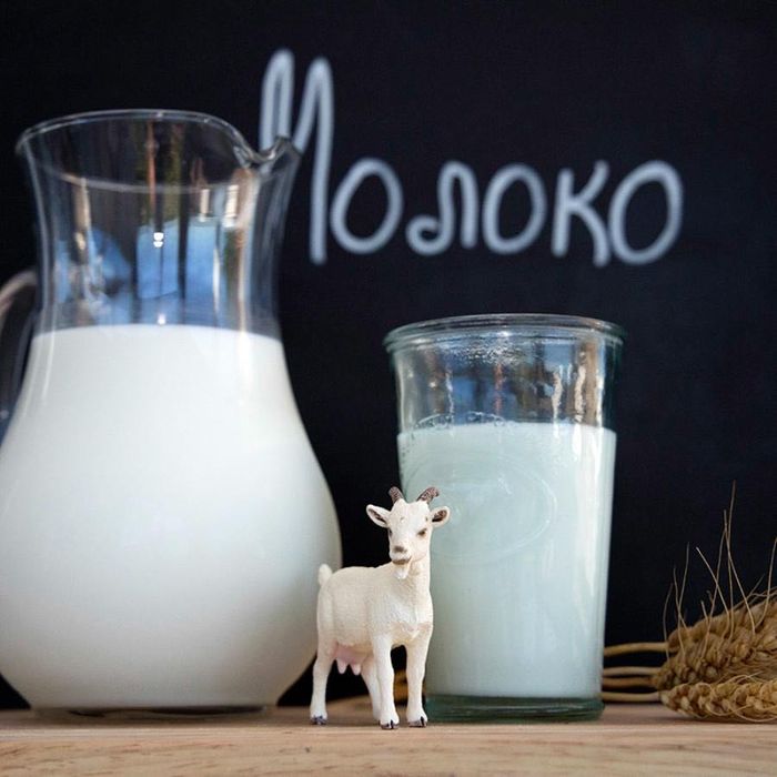 Ешкі сүті, козье молоко