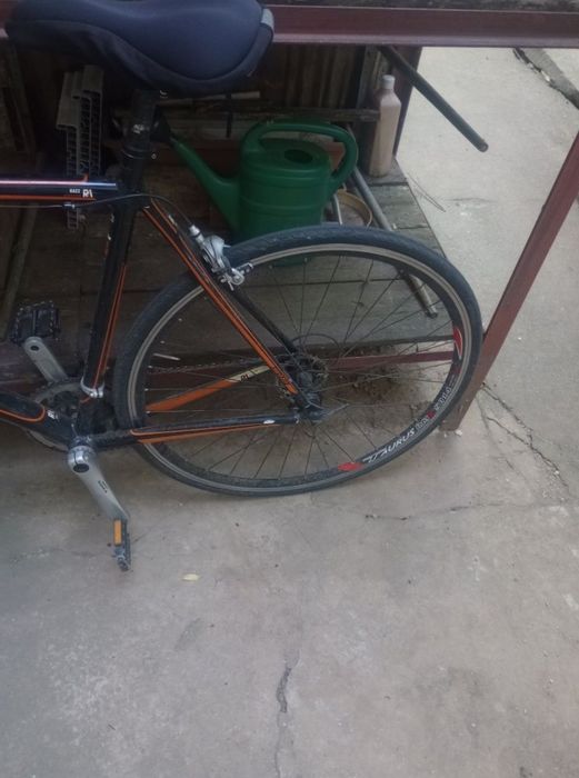 Semicursiera KTM STRADA