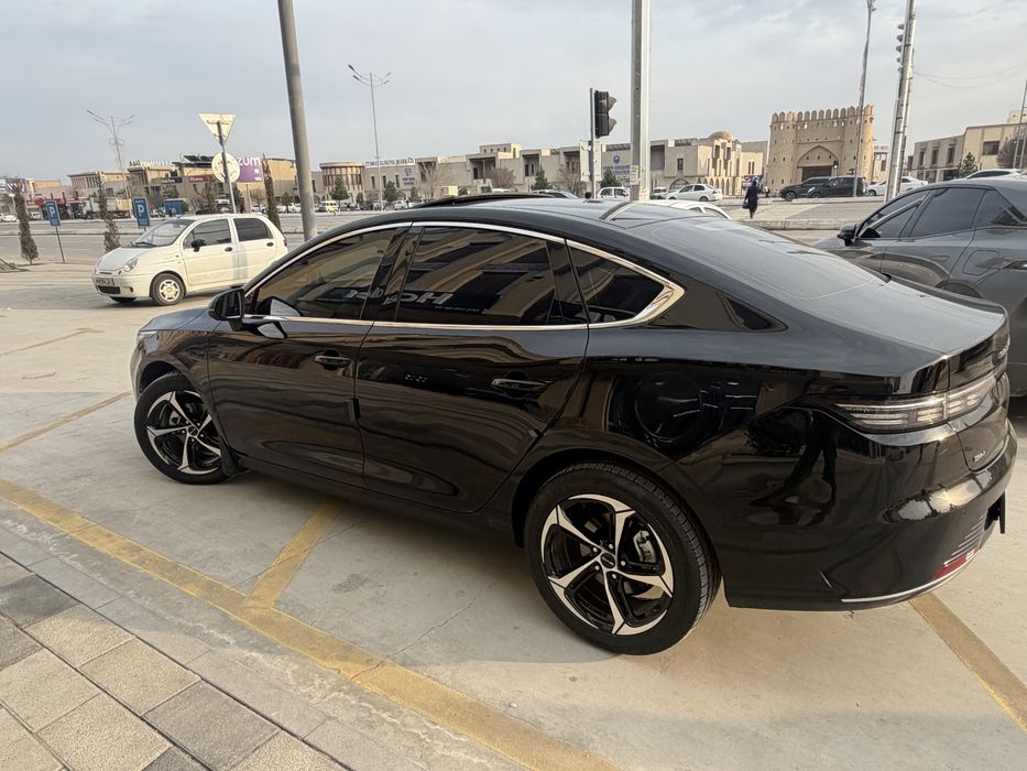 Byd chazor  срочнига