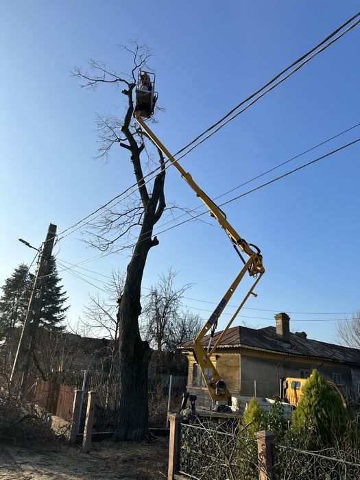 Nacela Bolintin Vale, Buldo Bolintin Vale, Utilaje Bolintin Vale