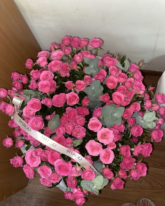 Кустовые розы (Margo flowers)сорт софия
