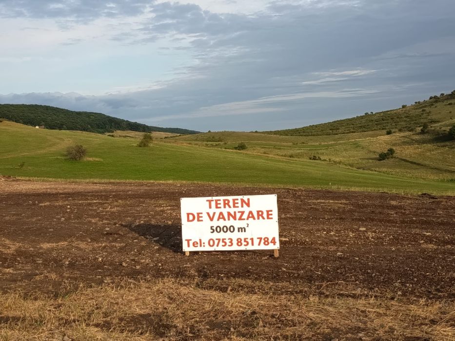 Teren construibil intravilan 5.000 mp - Piatra Neamț