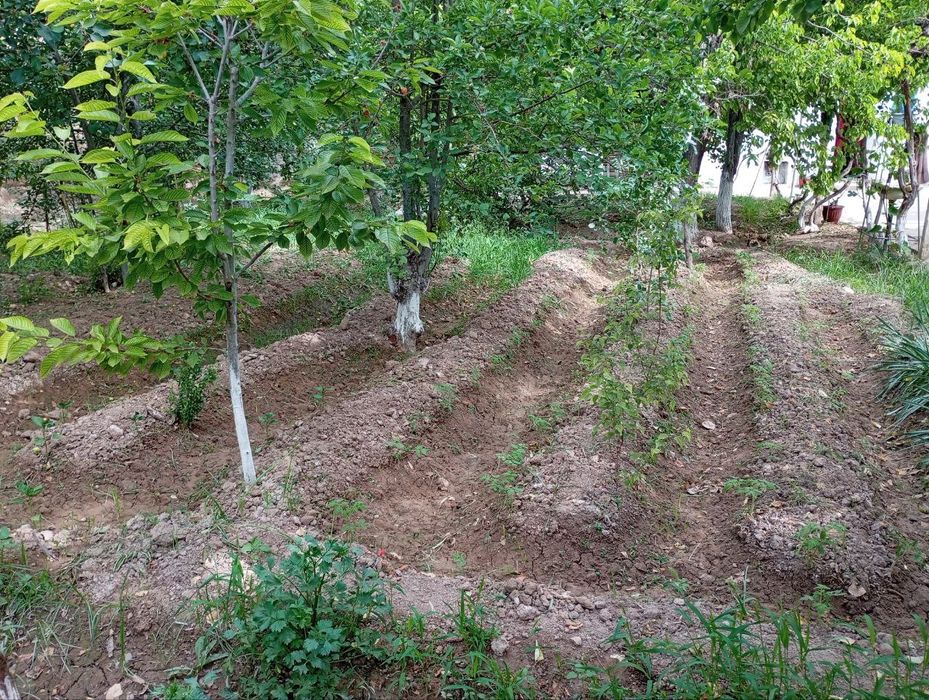 Срочно! Продается дача на Восходе!