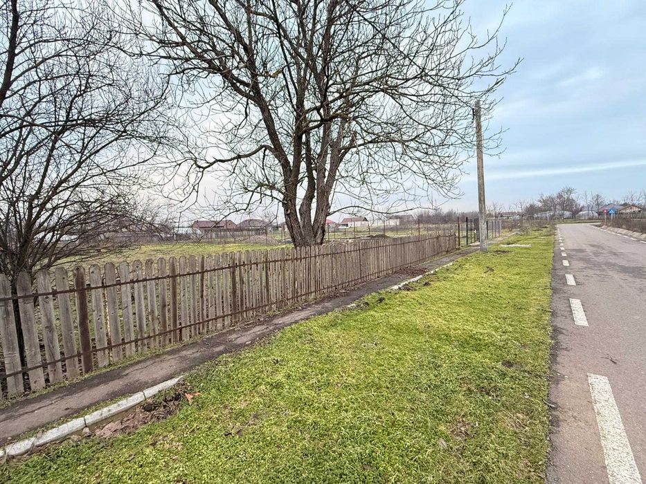 Teren intravilan 973m