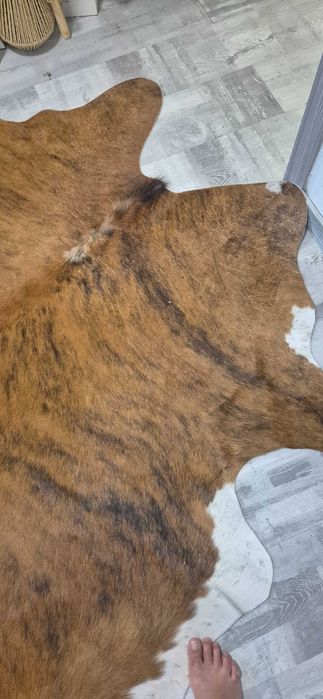 Covor blana bovina(speciala)