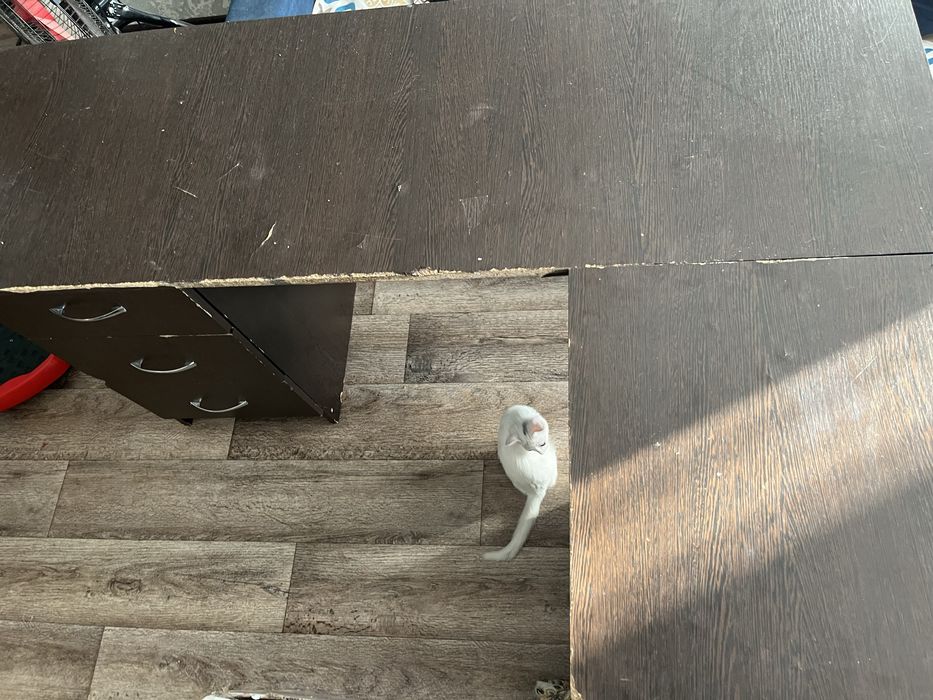 Письменный стол.