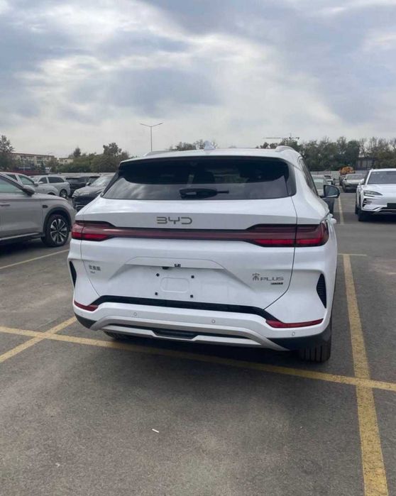 BYD Champion Hybrit
