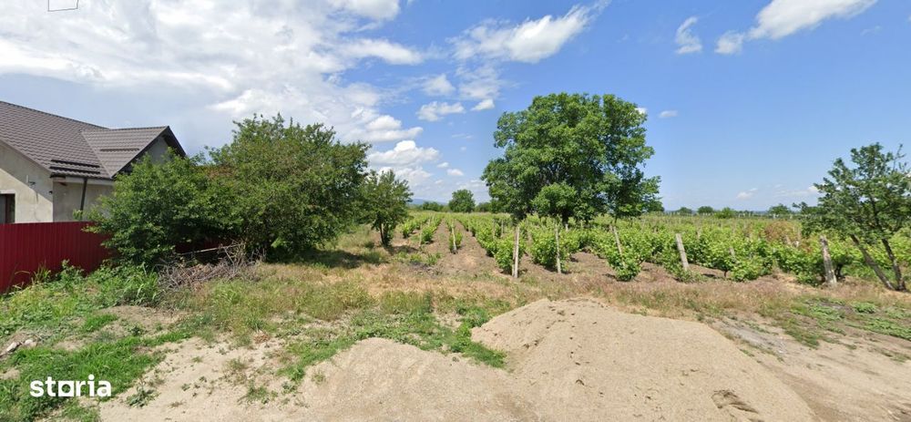 Teren intravilan 3087 m² cu acces la utilitati, sat Golestii de sus