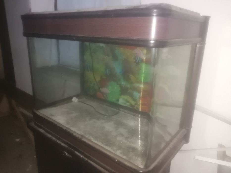 Аквариум с рифами