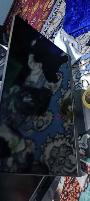 Monitori 24, 17 dyum