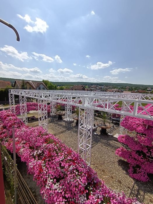 Afacere cu firma cu tot container food +35 mii euro credit