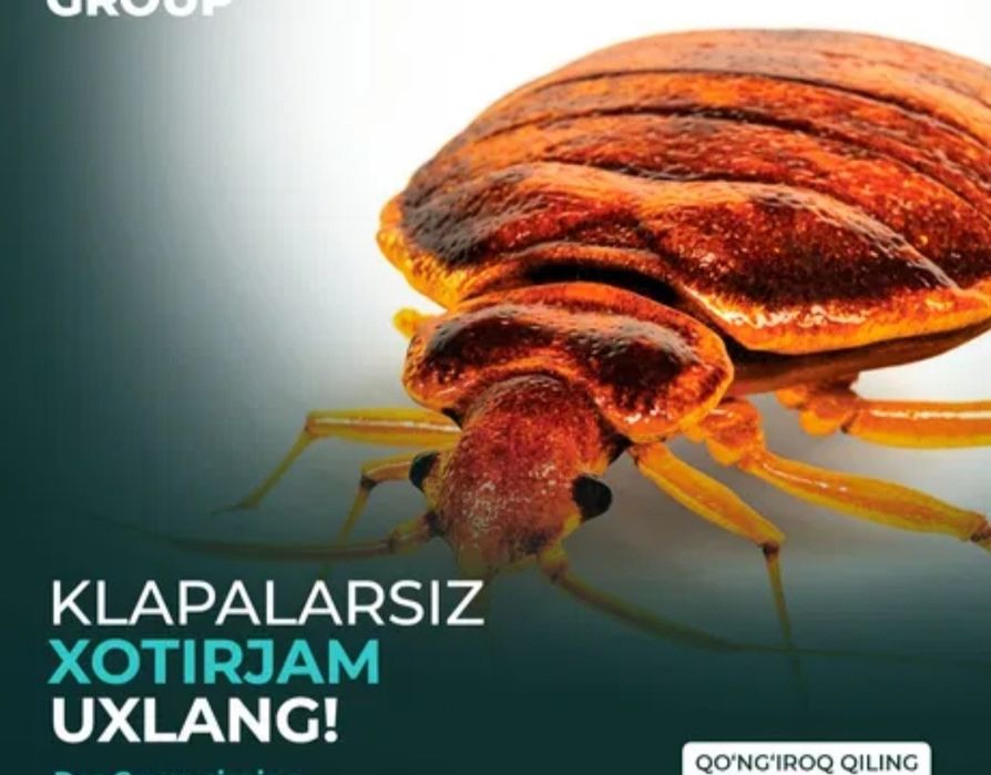 DeInfeksiya Klapa Tarakan ga 100 ming som Xidsiz Dori Bilan