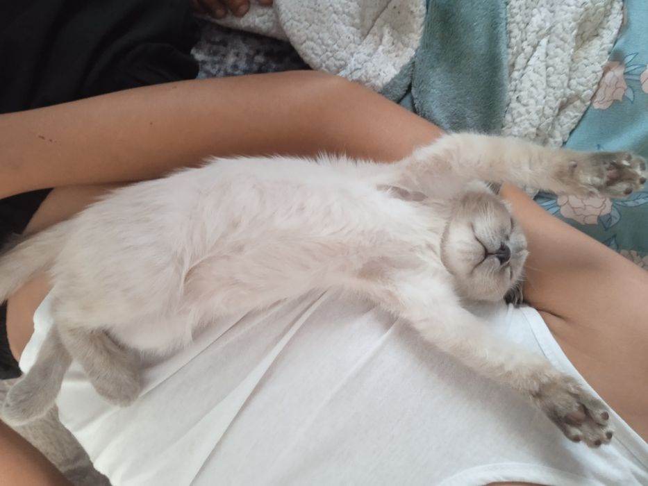 Розыск помогите найти