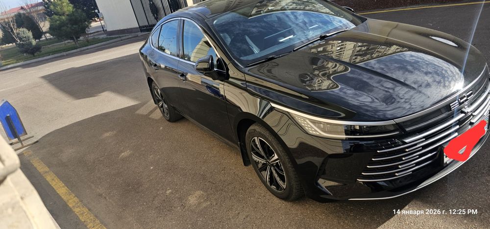 BYD CHAZOR Flagship 120