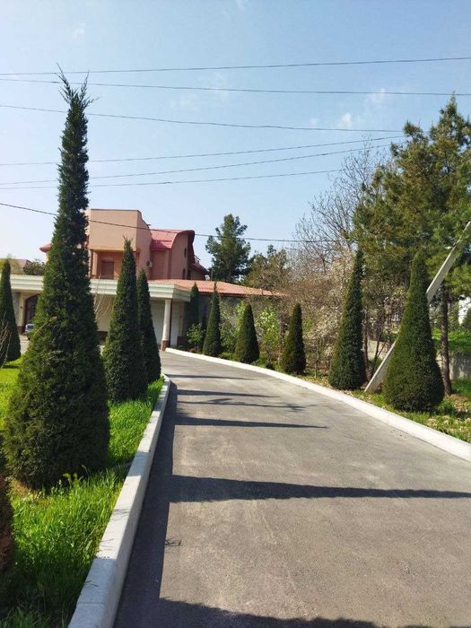 Обрезка деревьев, винограда, стрижка елок и другие виды работ