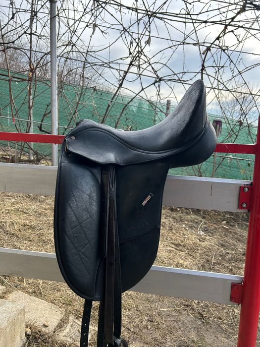 şa dresaj Wintec Isabell