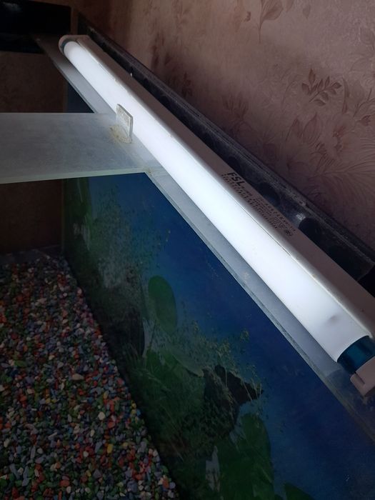 Аквариум с грунтом и светильником