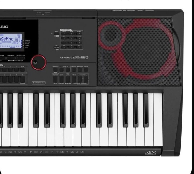 Проф синтезатор Casio ct x5000.