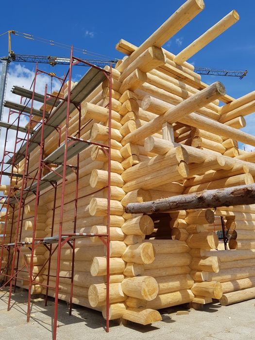 Case cabane bustean , mobilier gradina , lambriu si Dusumea