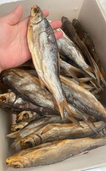 Вяленный и копчёный рыбец, чехонь  в наличии