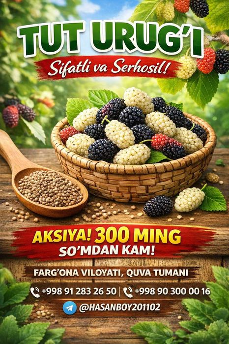 Sifatli va serhosil tut urug‘i sotiladi!