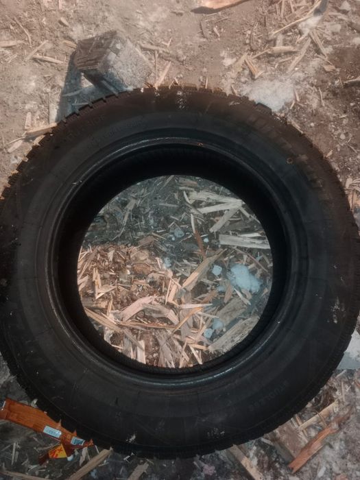 ризина на 17 225/60