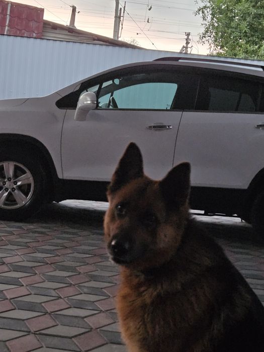 Кабель ищет подругу