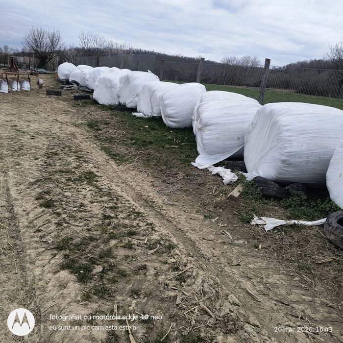 Vand baloti de lucerna