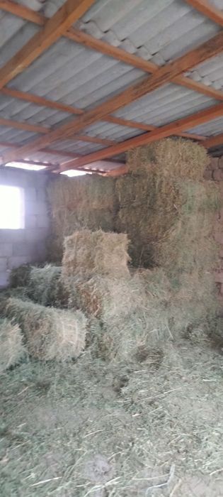 Шөп жоныршка пішен  60прес