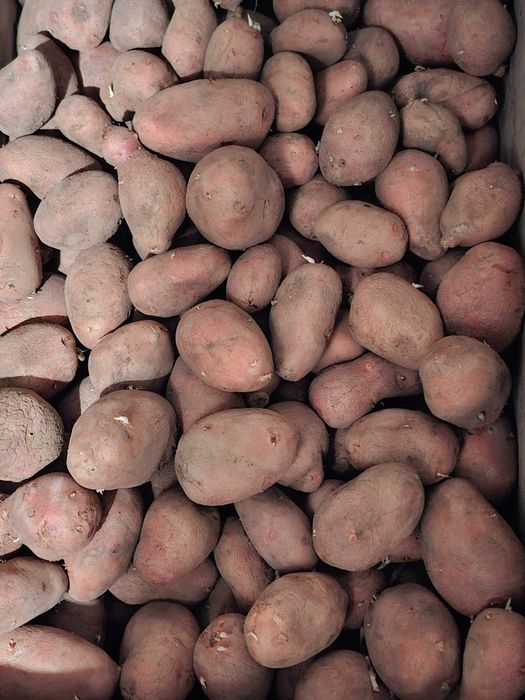 Продам картофель домашний