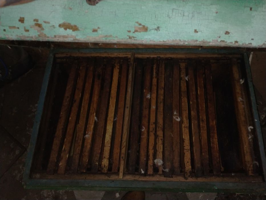 Продам пчелиный улий