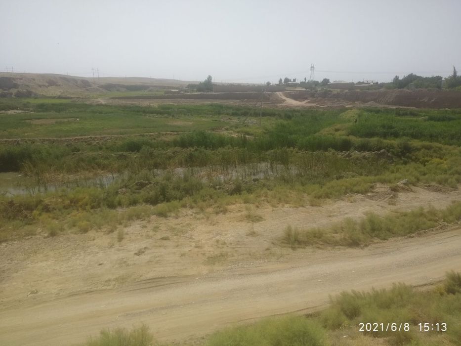 Ер нотурар Бизнес Учун