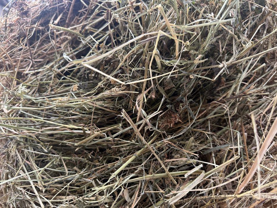 Vand baloti de lucerna