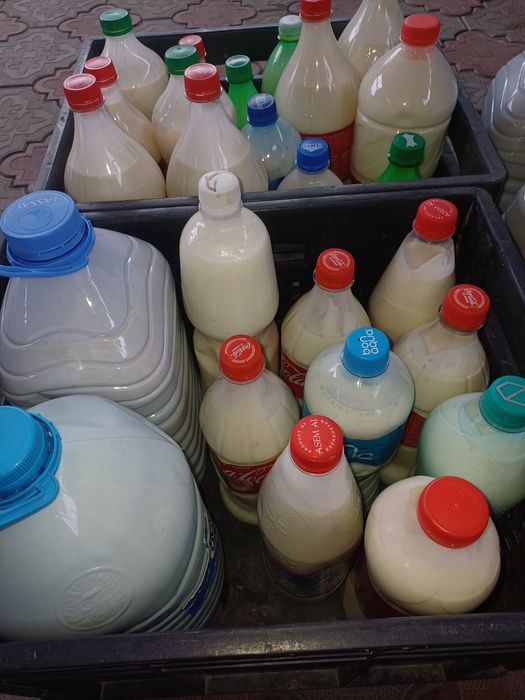 Сут молоко домашнее оптом