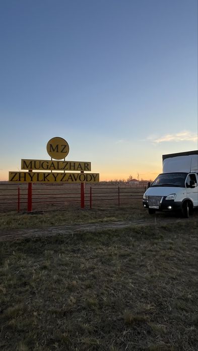 Скотовоз Газель