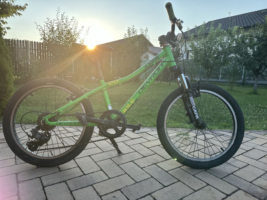 Bicicleta copii 20 inch Devron Riddle
