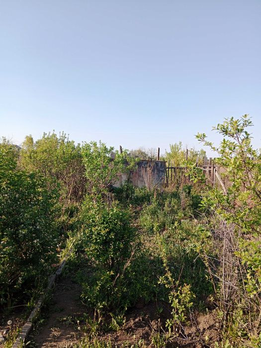 Продам Дачу в обществе Ёлочка