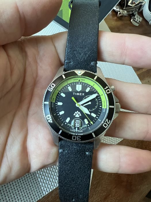 Timen expedition north