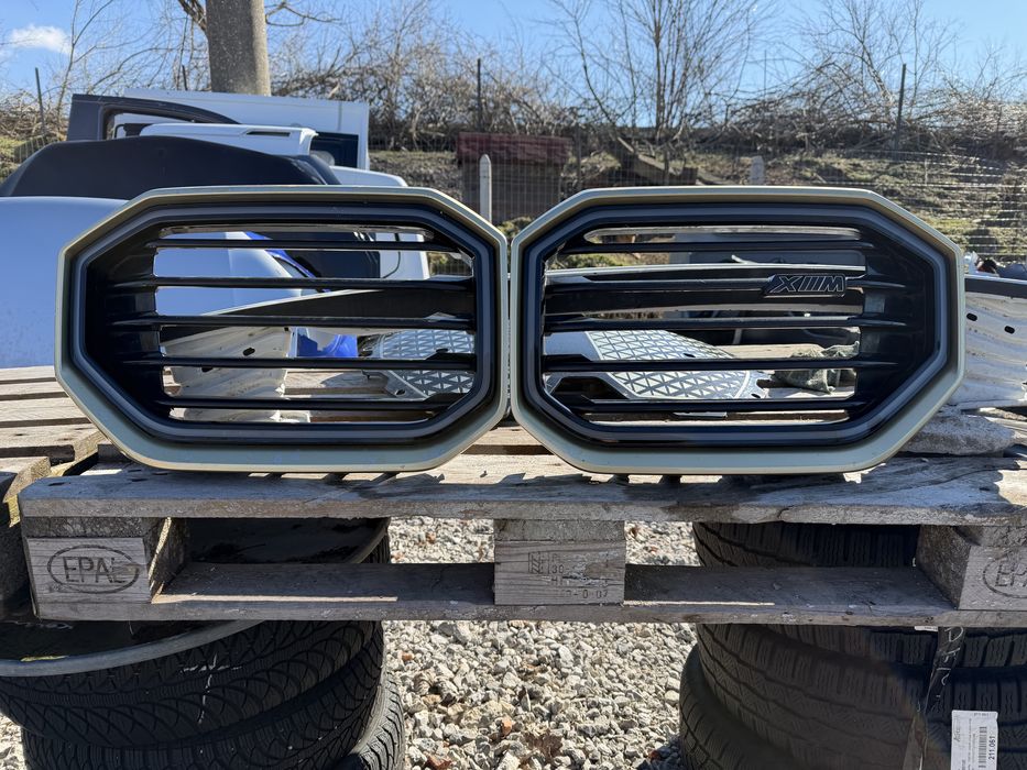 Решетка Бъбреци BMW XM