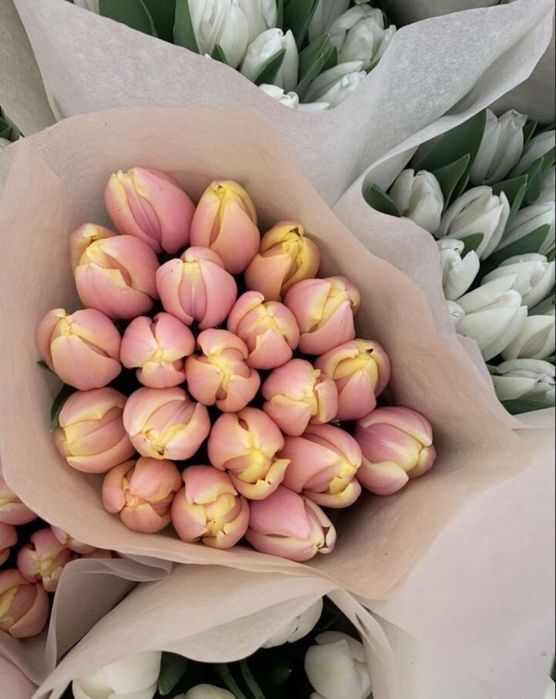 Тюльпаны к 8 марта