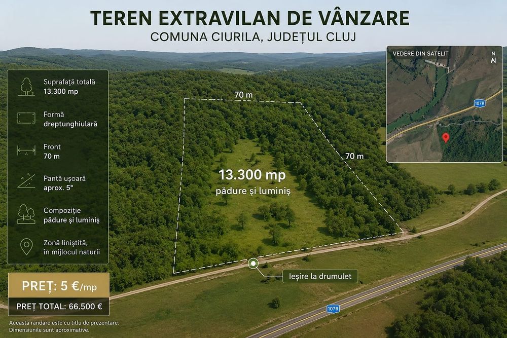 Teren extravilan 13.300 mp în Ciurila, Cluj